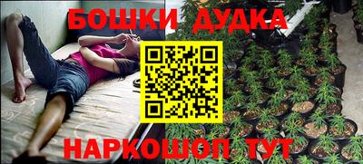 каннабис Новокубанск