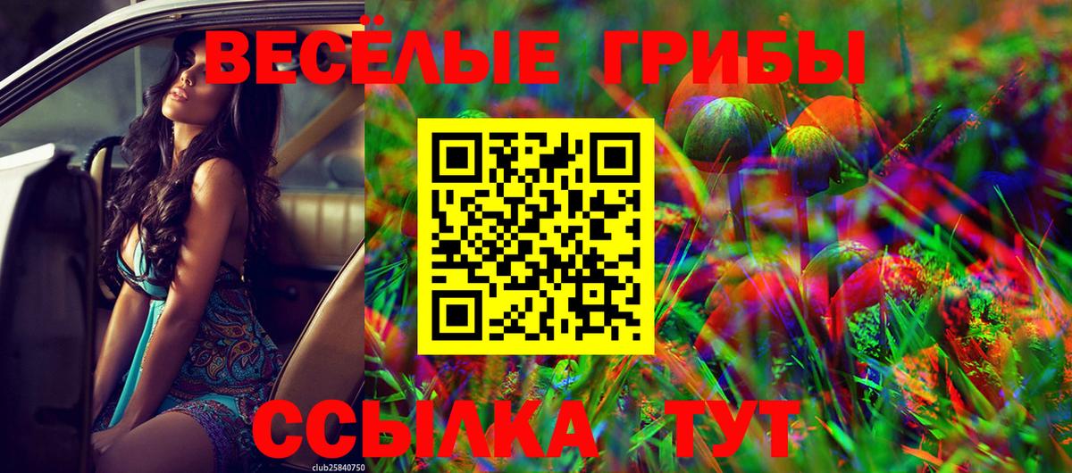 Галлюциногенные грибы прущие грибы Заринск